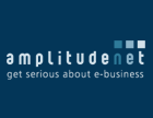 Amplitude Net