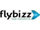 FlyBizz