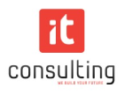 iT Consulting