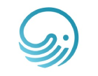 Near Sea Technologies