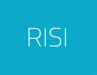 RISI Expert Software Solutions
