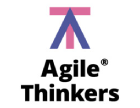 The Agile Thinkers