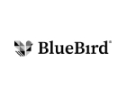 BlueBird