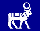 Novo (Antiga Novo Nordisk)