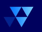 Vector Synergy